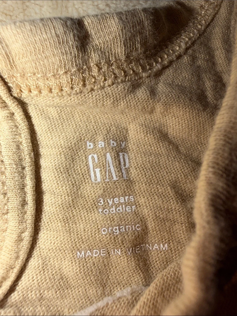 GAP Tan Tank with Watermelon Graphic & Teal Shorts Kids Matching Set